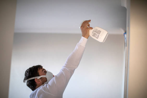 Best Black Mold Removal  in Yeagertown, PA