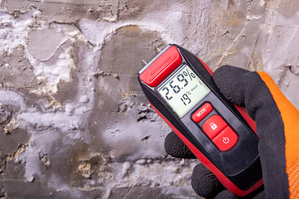 Best Mold Damage Repair  in Yeagertown, PA