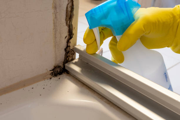 Best Commercial Mold Removal  in Yeagertown, PA