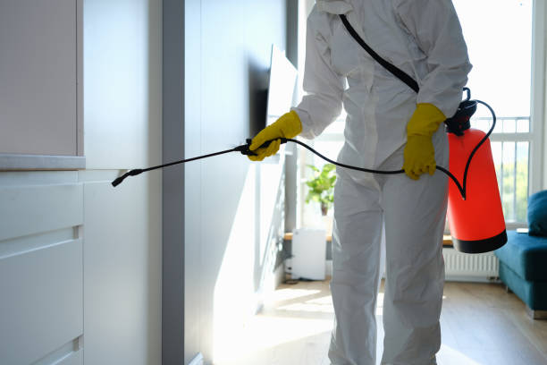 Certified Mold Removal in Yeagertown, PA