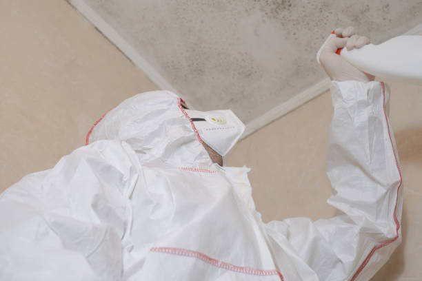 Best Mold Cleaning Services  in Yeagertown, PA